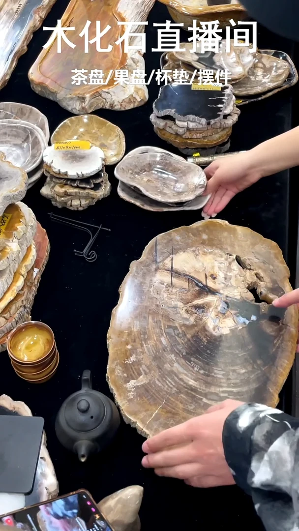 石材木化石不规则干泡茶托茶台