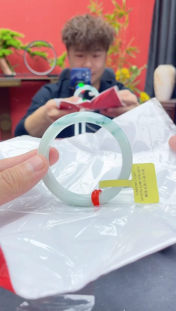 未镶嵌手镯翡翠2