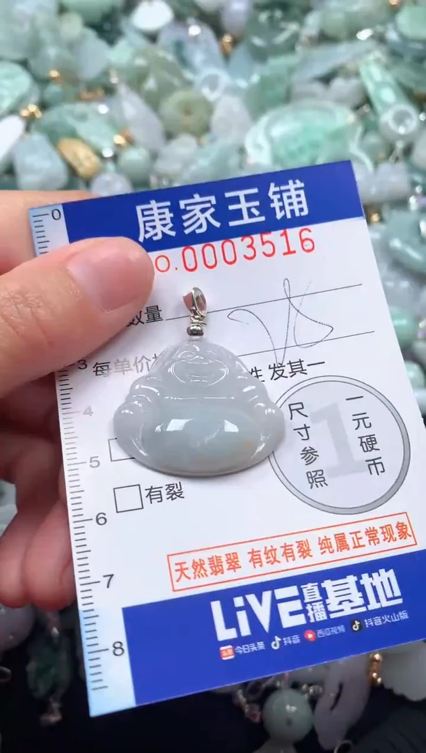 颈饰未镶嵌翡翠3516