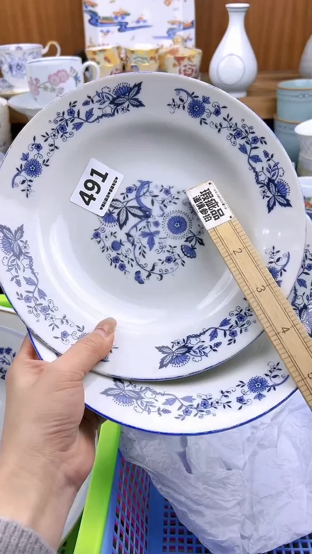 【闪购商品】瓷片491微瑕漏价出介意勿拍