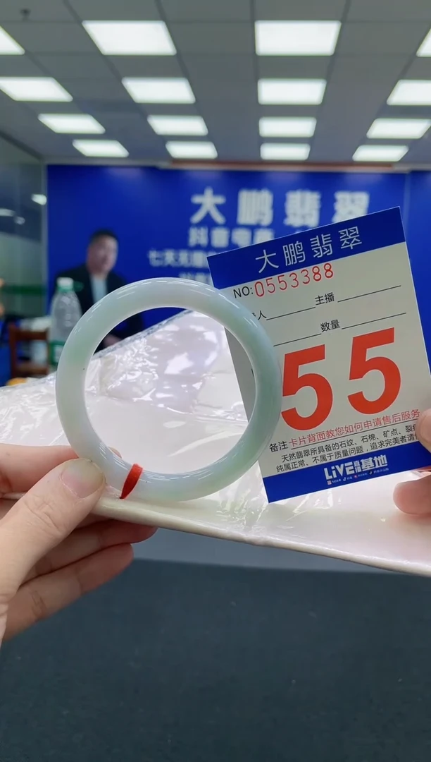 未镶嵌手镯翡翠AAAAAAAAA