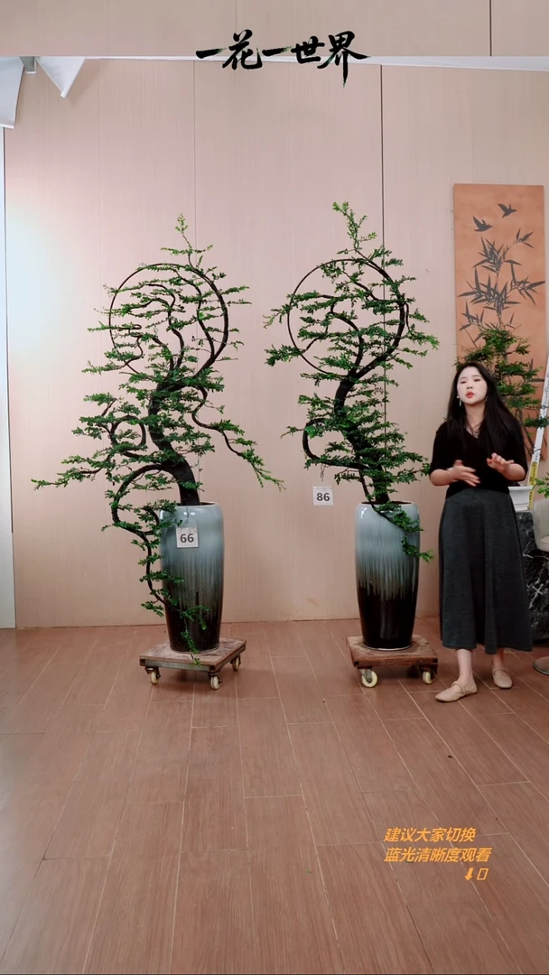 无花朵碧****彬两颗花好月圆链接