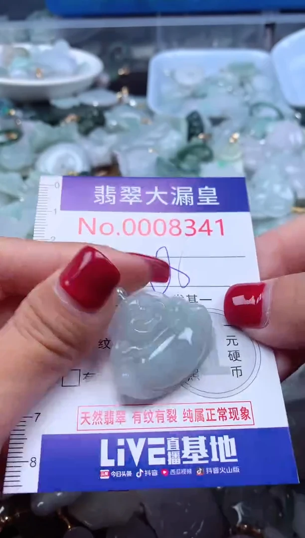 颈饰未镶嵌翡翠8341