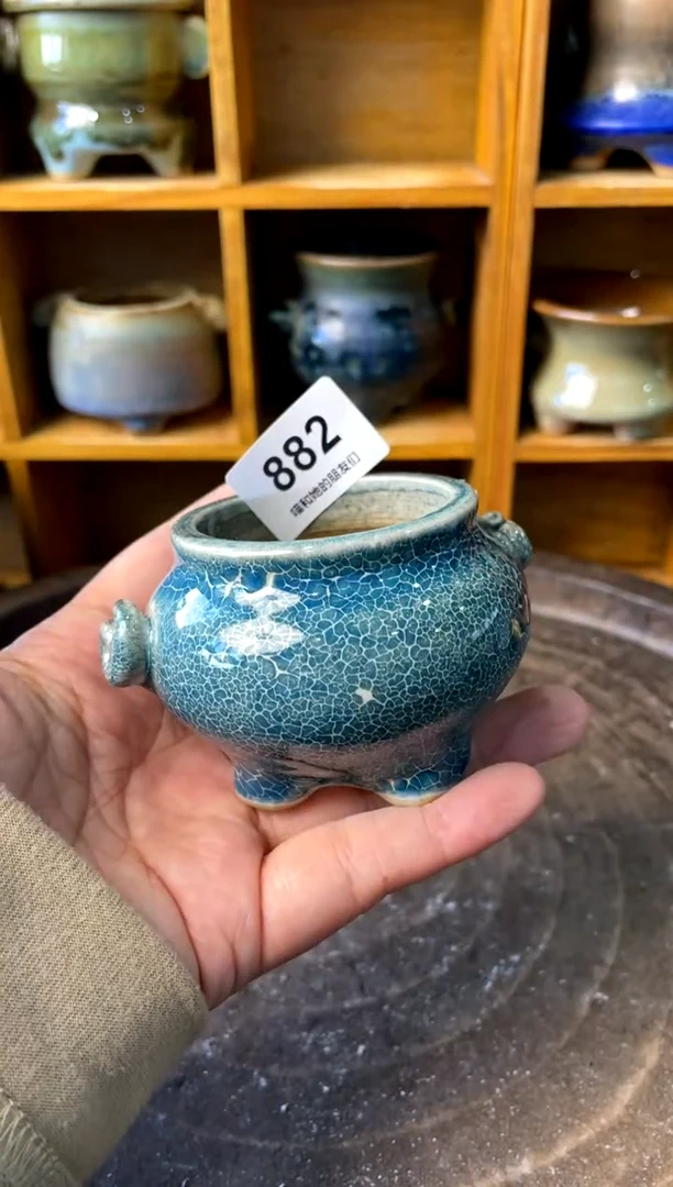 882【多肉花盆多肉盆】