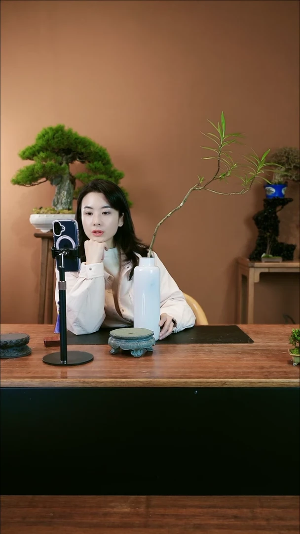 【闪购商品】盆景栀子花