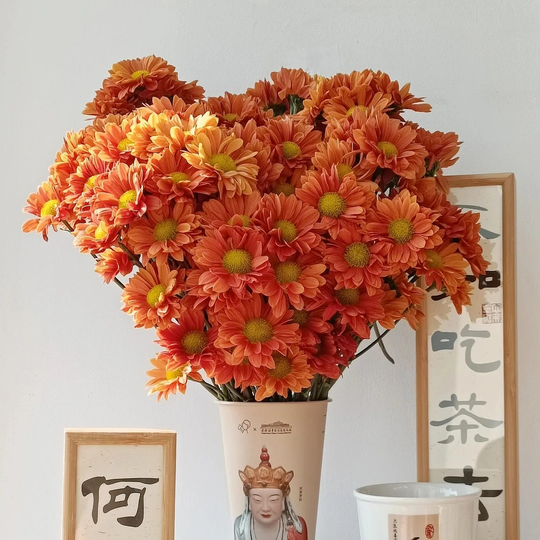 【橙色系小雏菊（花型随机发）5支】顺丰包邮送货上门