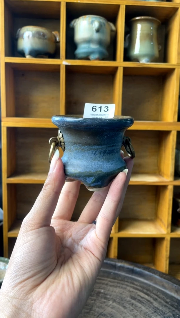 613【多肉花盆多肉盆】