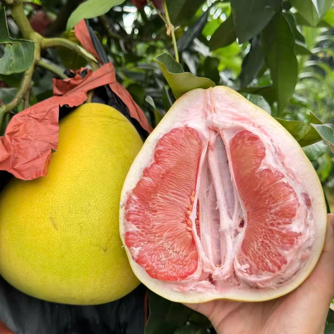 【助农】广西正宗红心蜜柚当季新鲜皮薄多汁 现摘现发