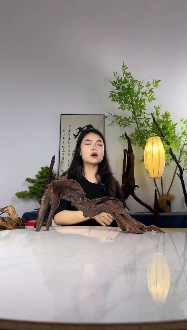 初*歌拍这个定向编号4