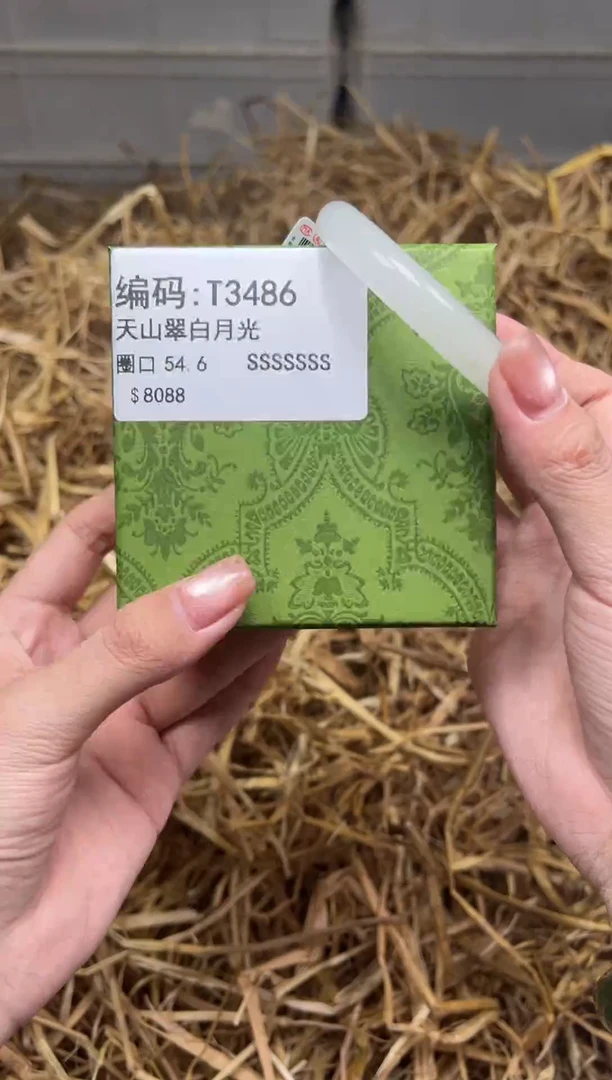 未镶嵌手镯石英质玉T3486