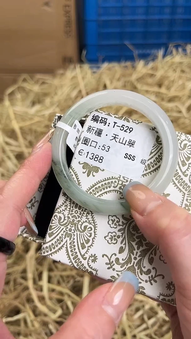 未镶嵌手镯石英质玉T-529