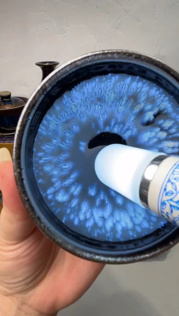 茶盏春申阁福利1只蓝羽矮束