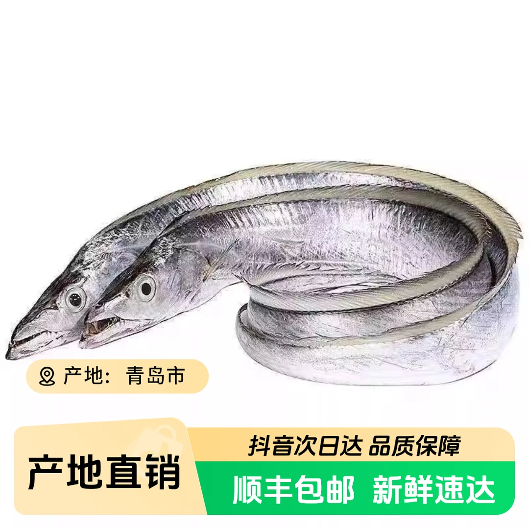 【中带鱼】海捕青岛小眼油带鱼 刀鱼 4斤（3两-4两/条）