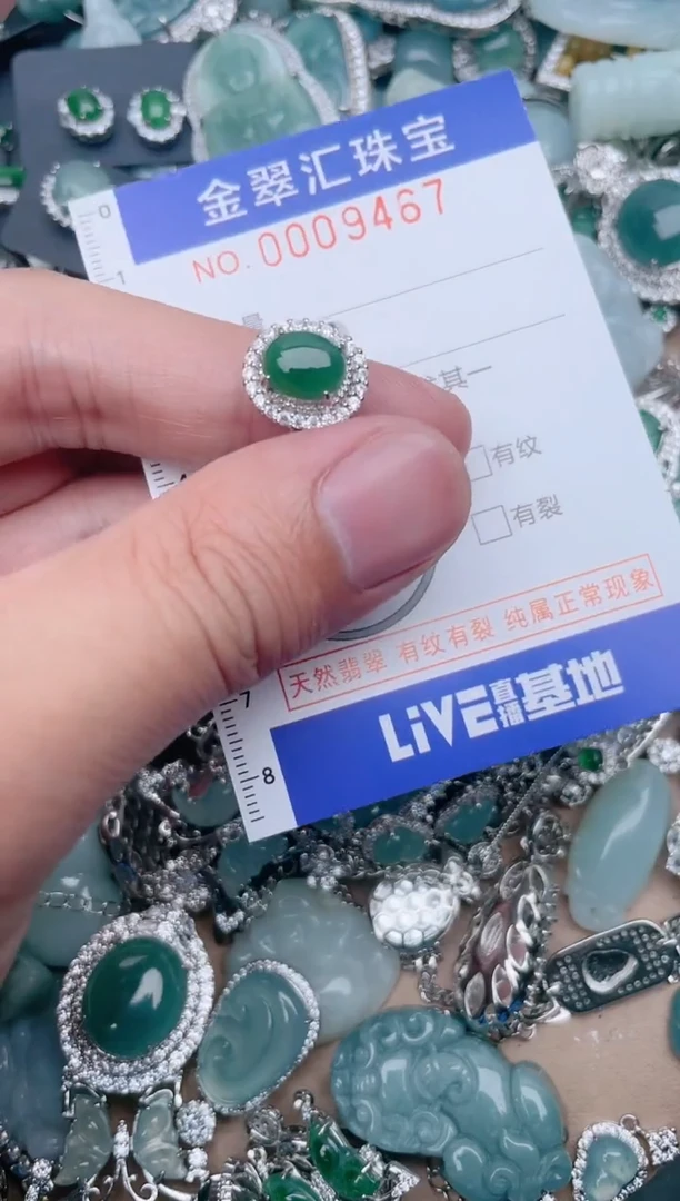 翡翠未镶嵌颈饰9467......1