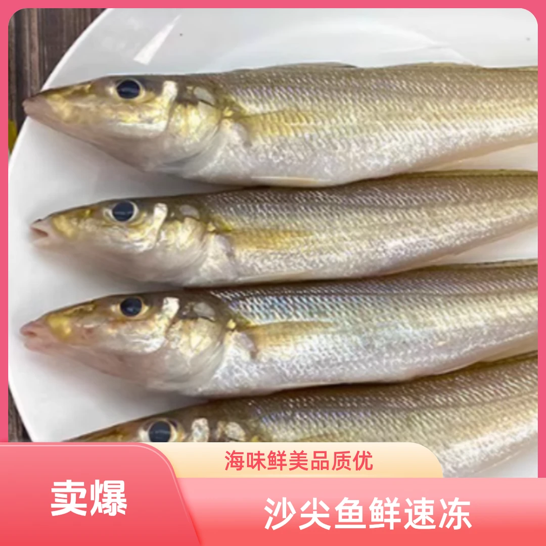 有货沙尖鱼活冻速冻沙钻鱼沙丁鱼生鲜海鲜沙尖鱼