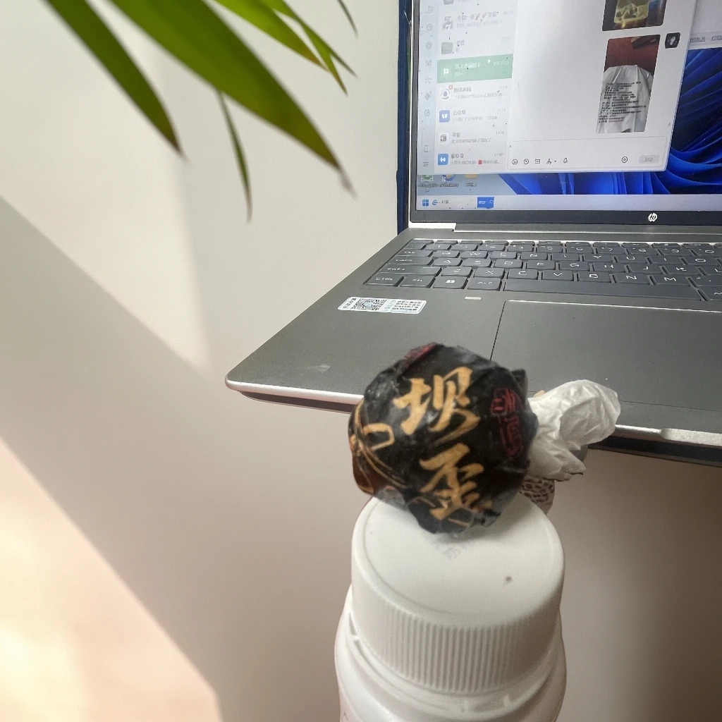 【坝歪龙珠】2019年头春头采