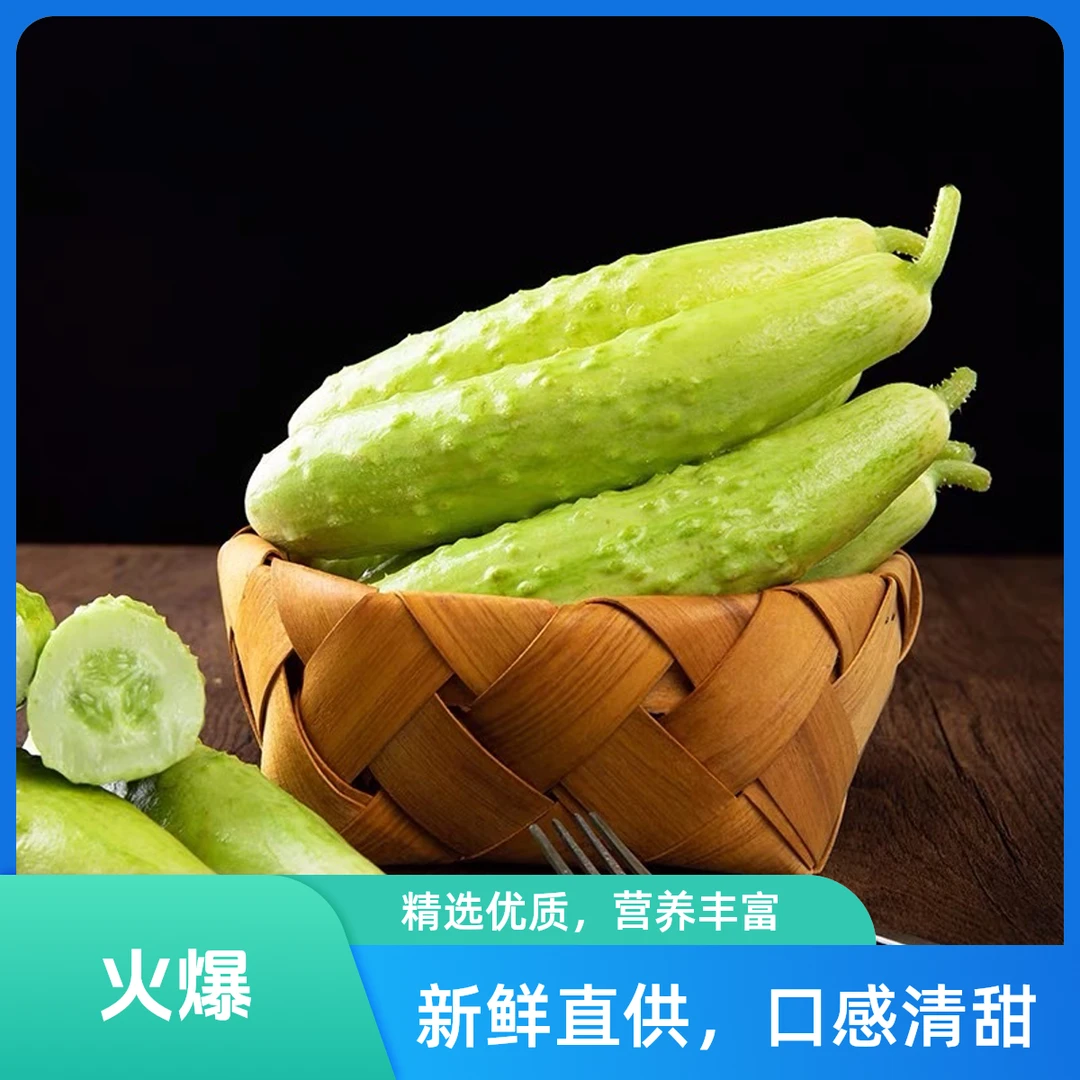 正宗海阳白玉黄瓜新鲜水果生吃牛奶黄瓜 当季现摘现发