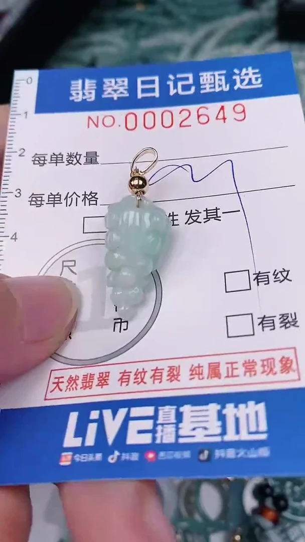 【闪购商品】翡翠颈饰未镶嵌00002649