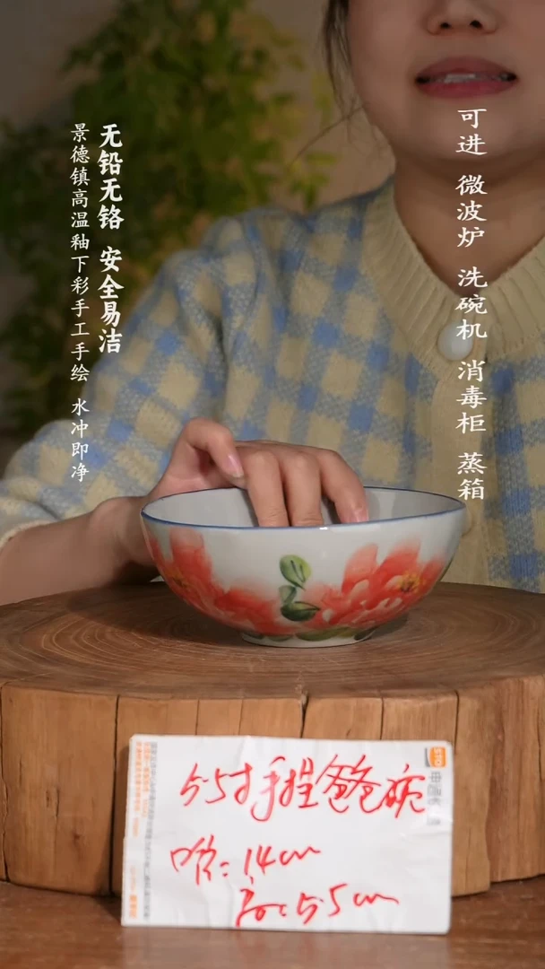 碗陶瓷景德镇高温瓷釉下彩手绘陶瓷