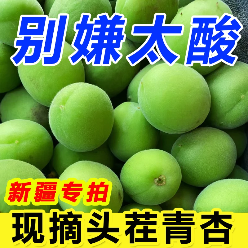 新疆专拍软核小青杏孕妇水果酸水果毛杏绿杏子青杏酸杏子当季水果
