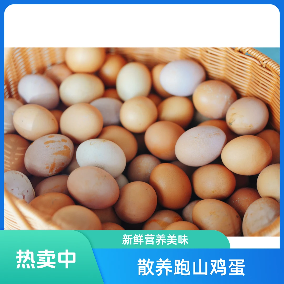 跑山鸡蛋 山庄散养跑山蛋500g