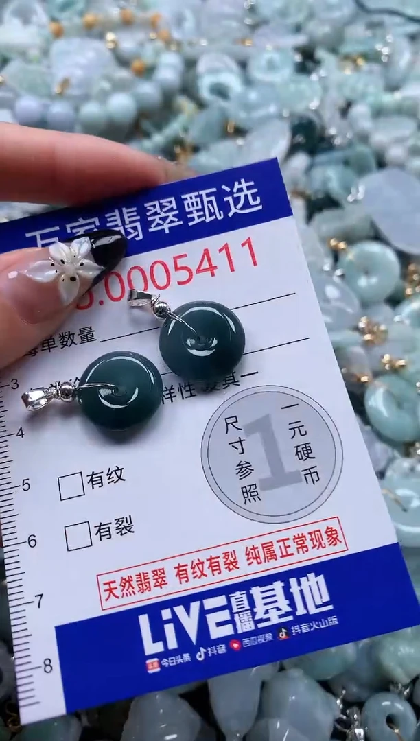 翡翠未镶嵌颈饰5411