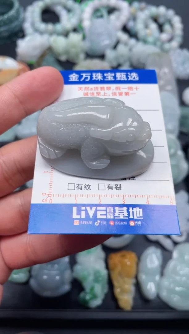 翡翠未镶嵌颈饰天然翡翠a货