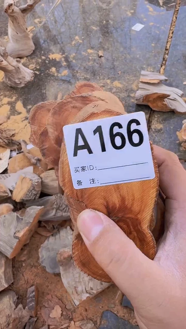 【闪购商品】柏木（崖柏）太行陈化崖柏一片