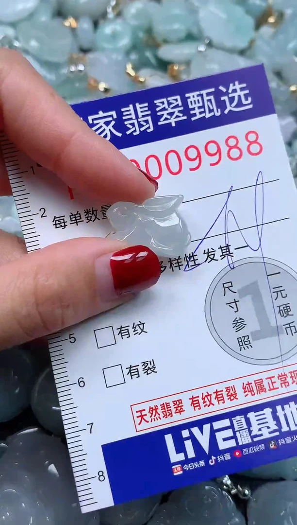 颈饰未镶嵌翡翠9988