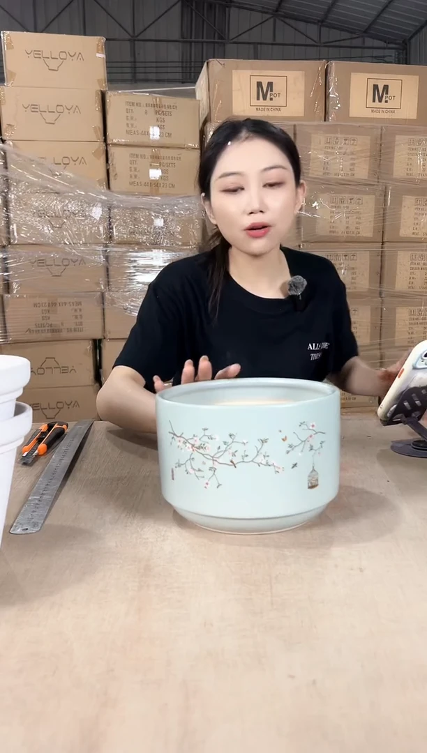 蝴蝶兰鸟笼蓝色小号18x12
