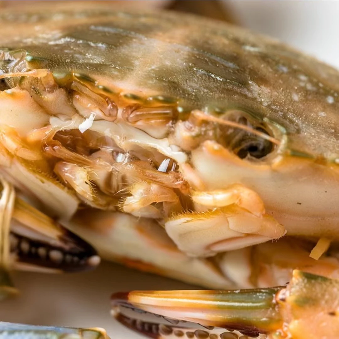 鲜活  石头蟹 / 赤甲红蟹同城配送