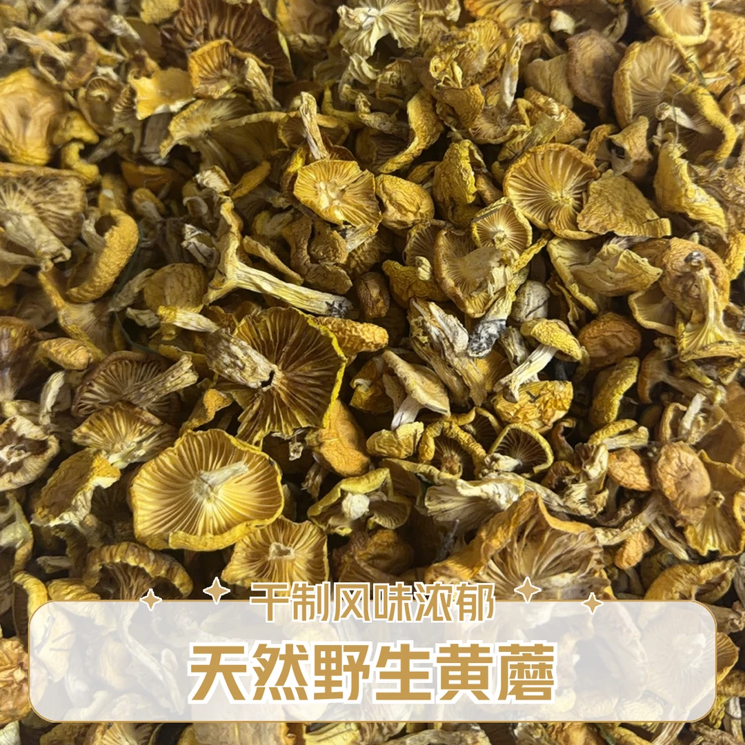 【野生黄油蘑 新货】围场野生黄油蘑/2025最新货秋板蘑菇