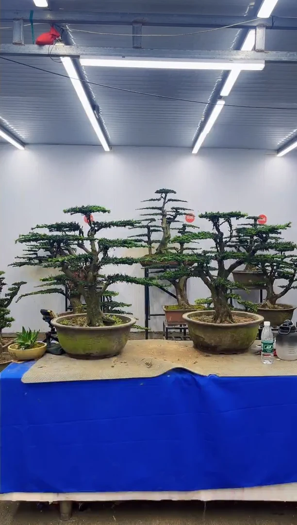 完全开放用****6一物一拍，所见即所得