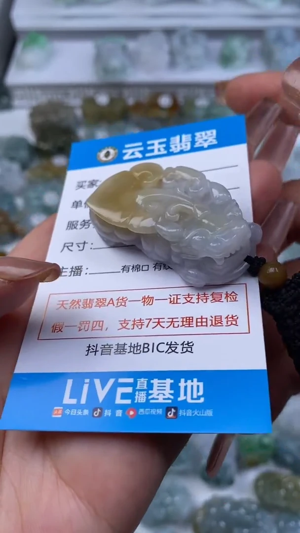 颈饰未镶嵌翡翠口含珠貔貅