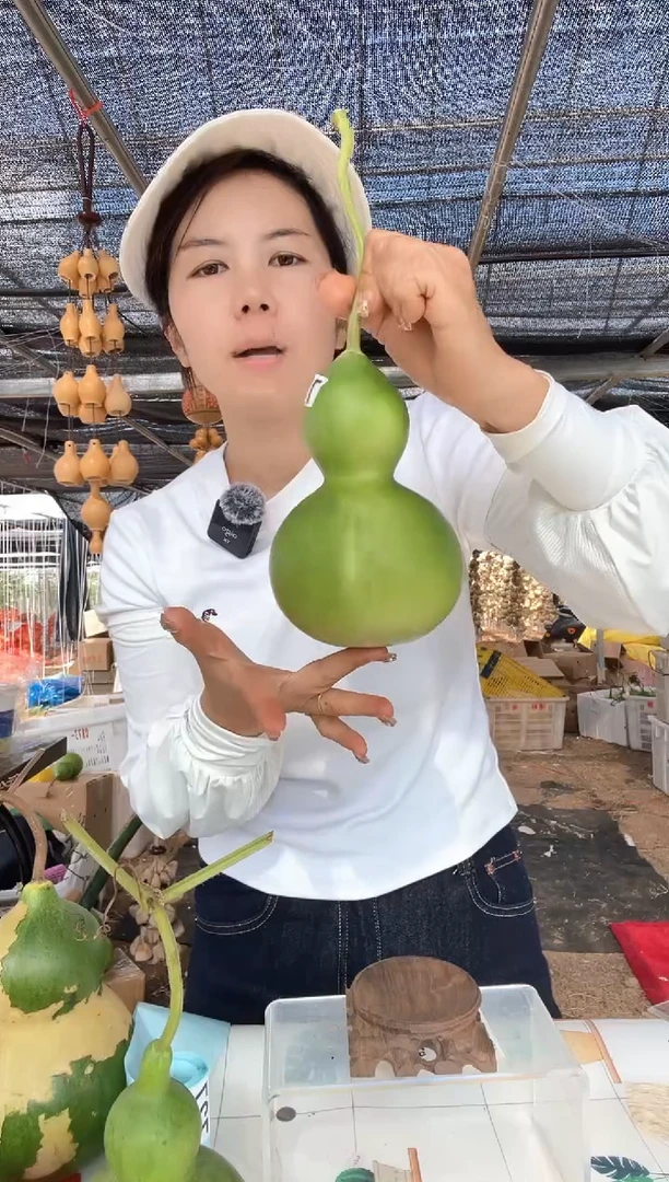 726天然葫芦摆件 一物一拍龙头不保售后