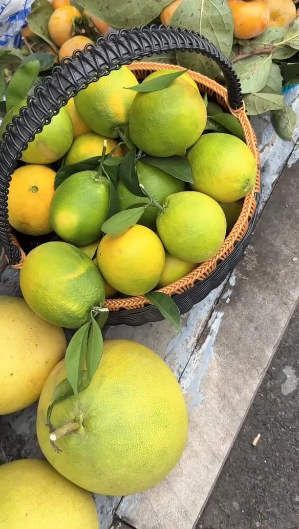 中国大陆奉节脐橙5斤