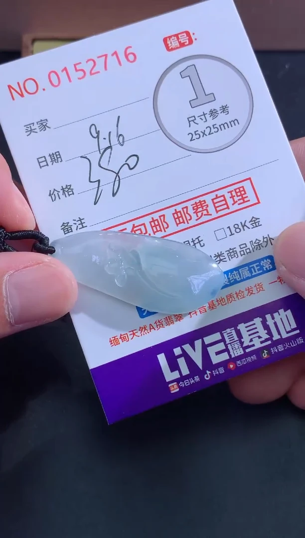 颈饰未镶嵌翡翠天****乐天然缅甸A货翡翠