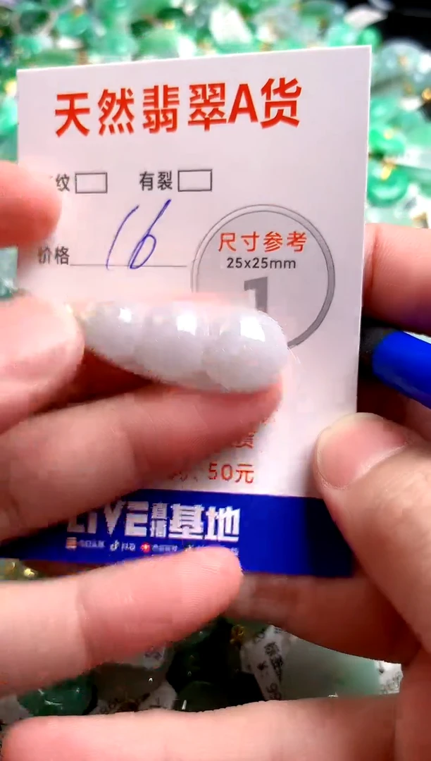 翡翠未镶嵌颈饰13007034