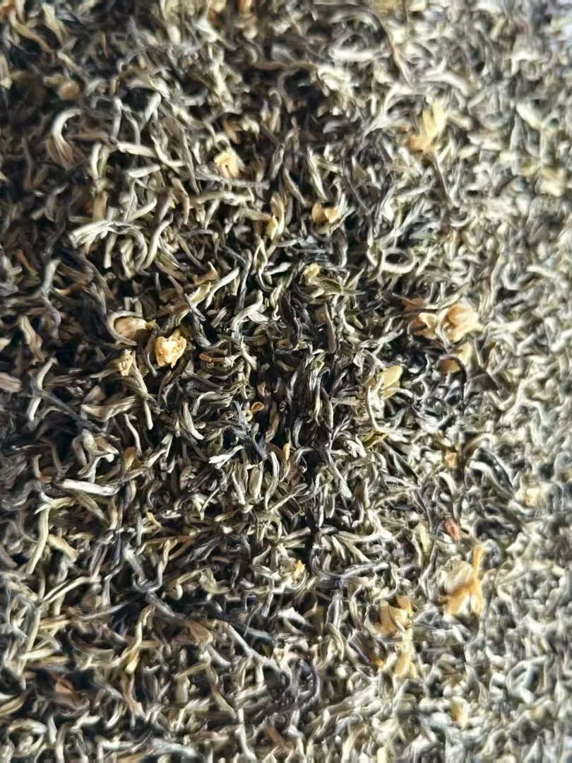 广西横县茉莉白雪2025新茶芽型浓香耐泡回甘可冷泡茉莉花茶