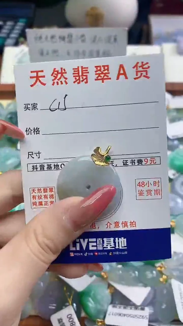 颈饰未镶嵌翡翠天然A货翡翠挂件