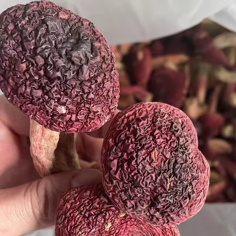 （大姨7周年庆）福建三明中大标菇