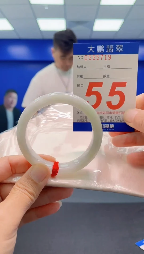 未镶嵌手镯翡翠AAAAAAAAA