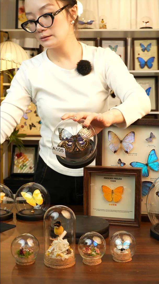 大紫蛱蝶小玻璃罩款A105