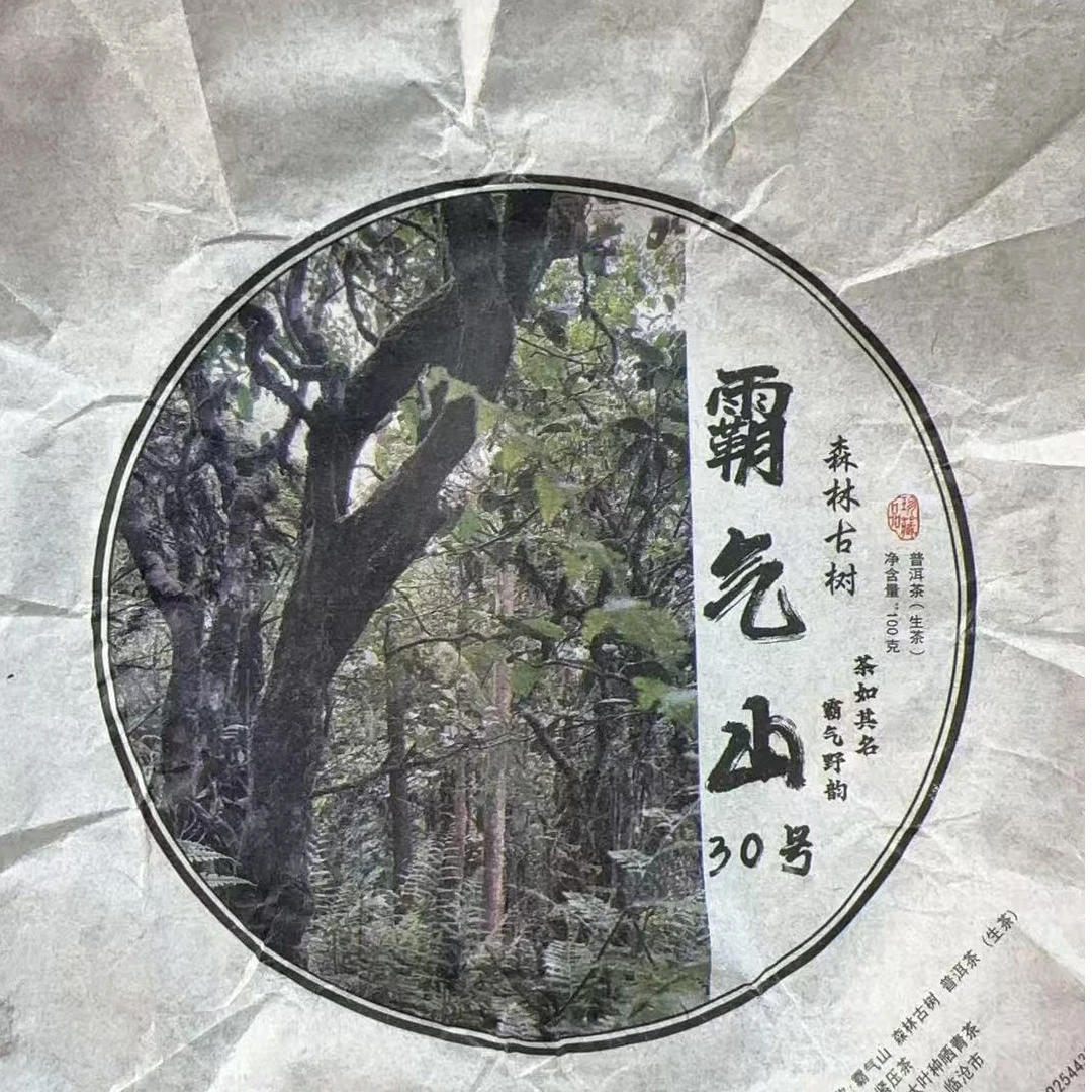 MK159号 2025年{春}霸气山森林古树普洱生茶饼