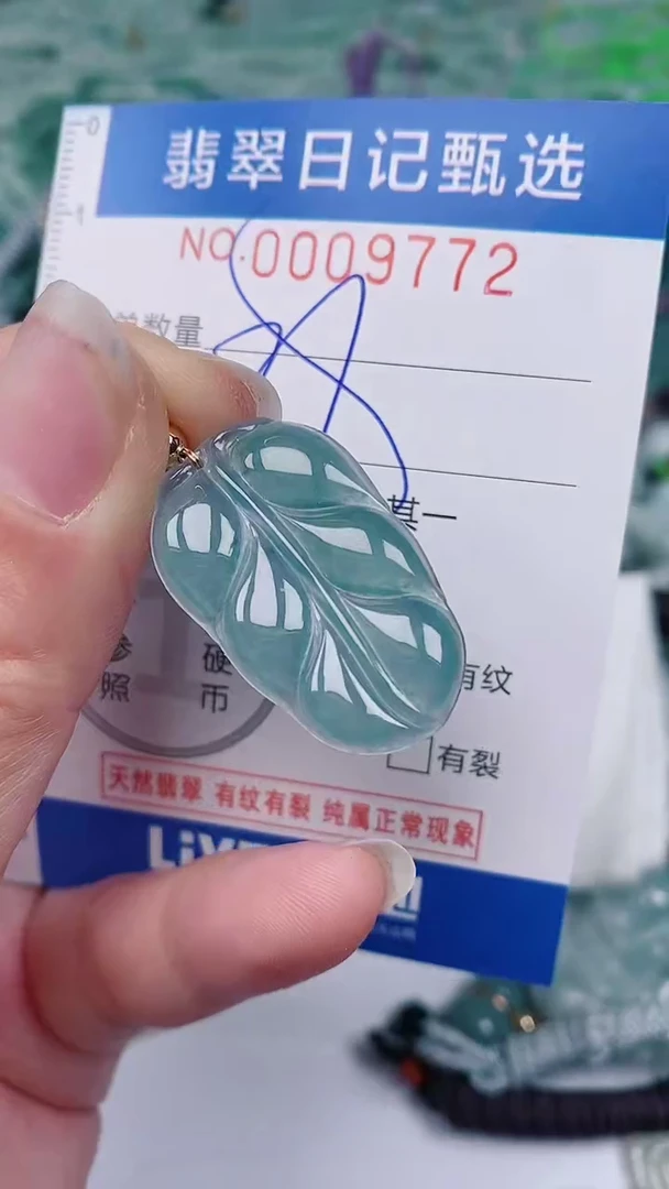 【闪购商品】翡翠颈饰未镶嵌00009772