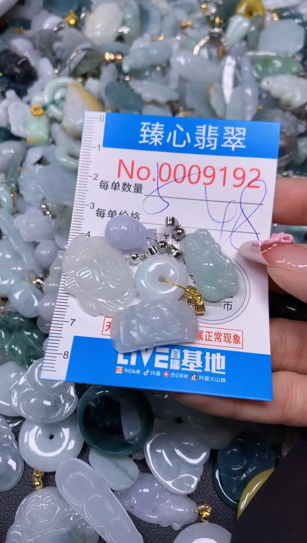 【闪购商品】翡翠颈饰未镶嵌含绳000