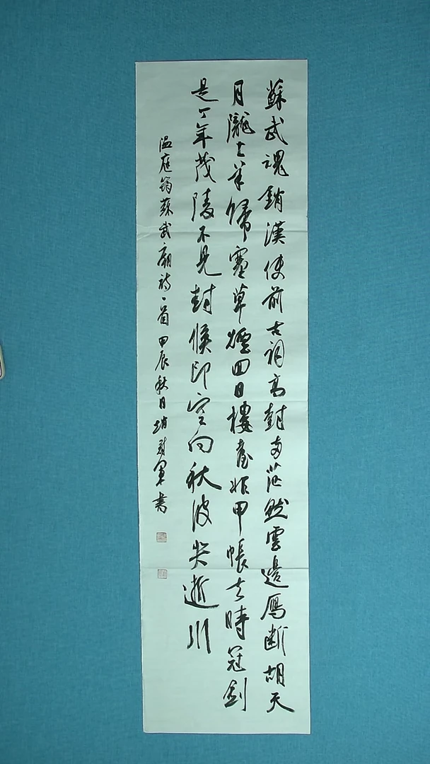 【闪购商品】书法263 河南赵丰军中书协138*34