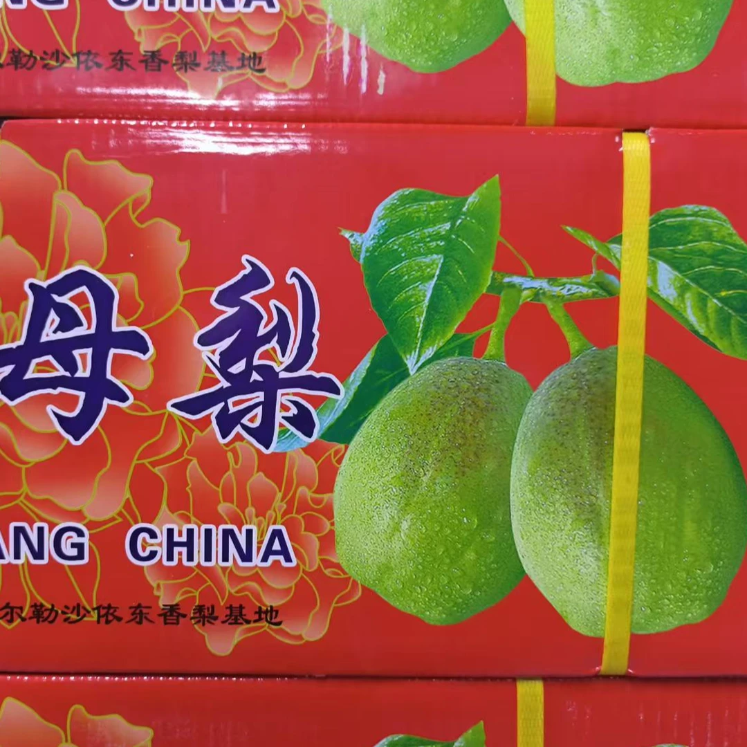 全母梨库尔勒（约10斤左右）