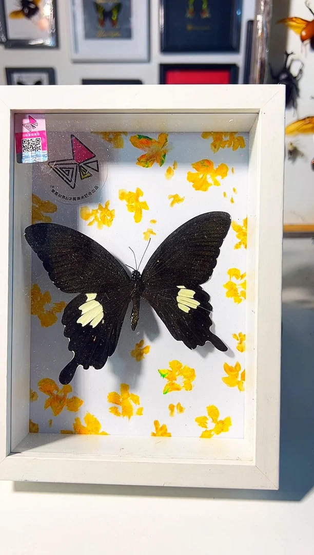 有机玻璃678999000009877666