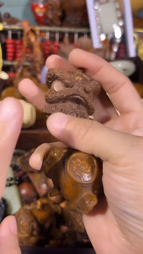 黄杨木11111111111111111111